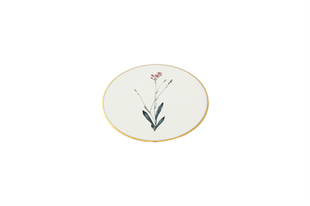 Porland Botanical Ds4 Bardak Altlık 10 Cm
