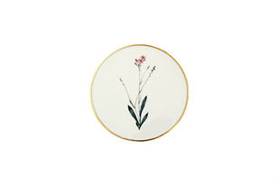 Porland Botanical Ds4 Bardak Altlık 10 Cm