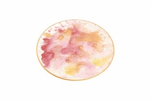 Porland Cosmos Ds1 Düz Tabak 17 Cm