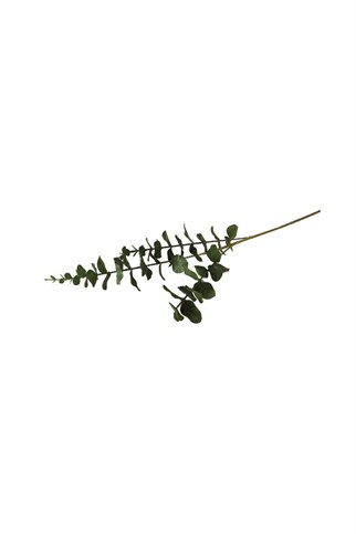 Porland Okaliptus Yapay Çiçek 76 Cm