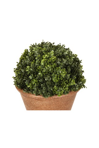 Porland Selaginella Yapay Bitki 21 cm