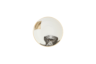 Porland Wild Life Monkey Kase 10cm