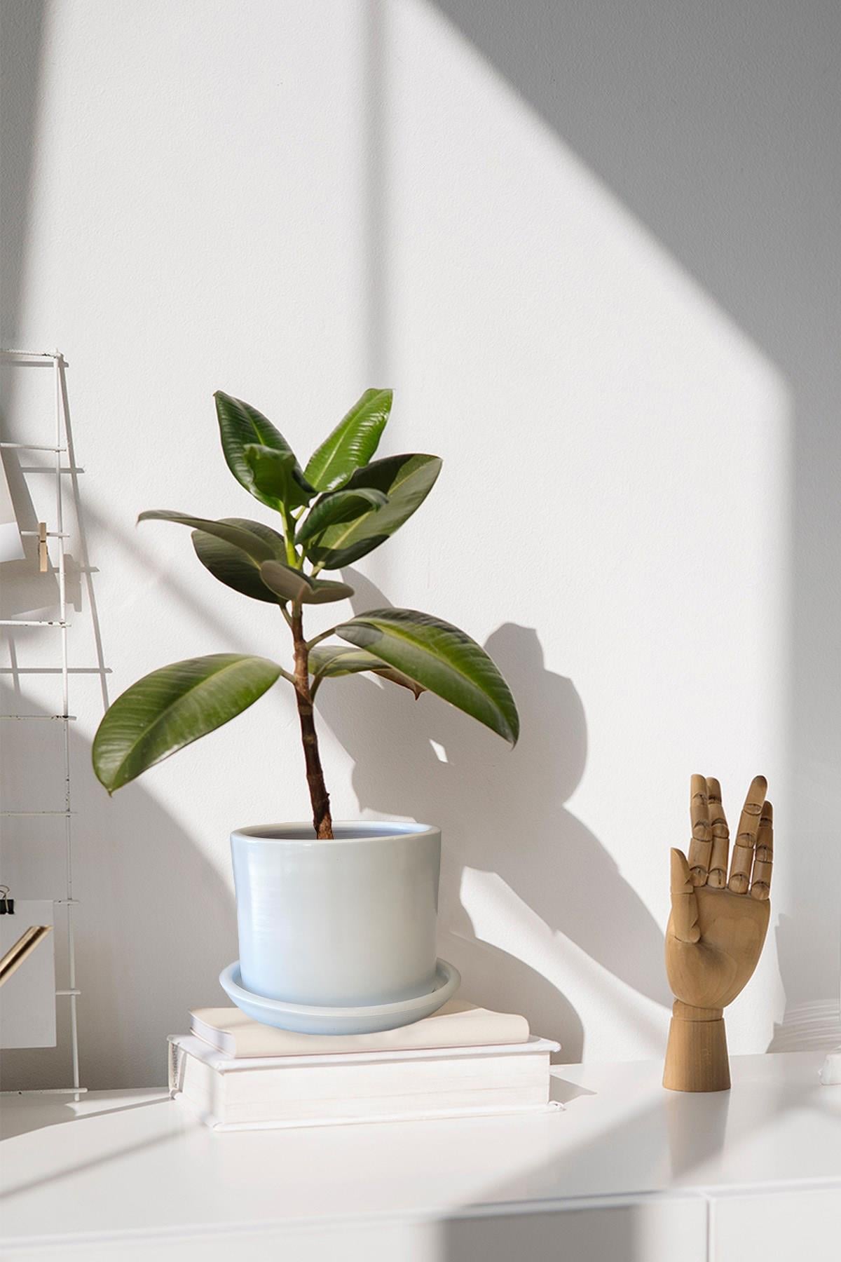 Evdek Tabaklı Beyaz Silindir Çömlek Saksı 20x18 Cm