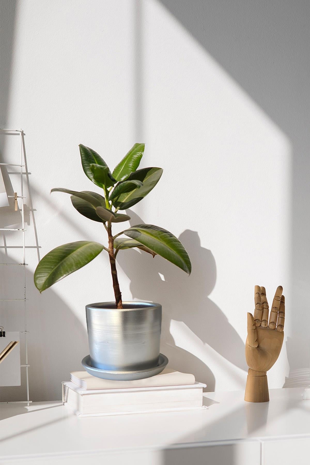 Evdek Tabaklı Gümüş Silindir Çömlek Saksı 20x18 Cm