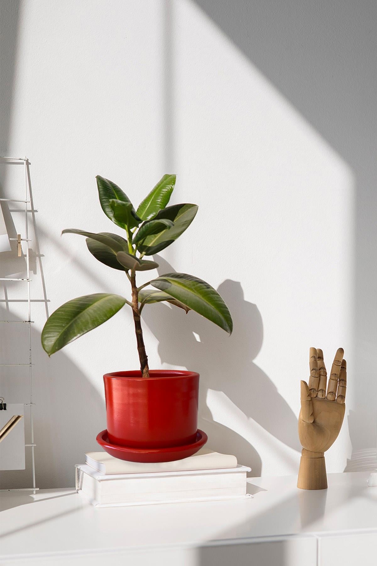 Evdek Tabaklı Kırmızı Silindir Çömlek Saksı 20x18 Cm