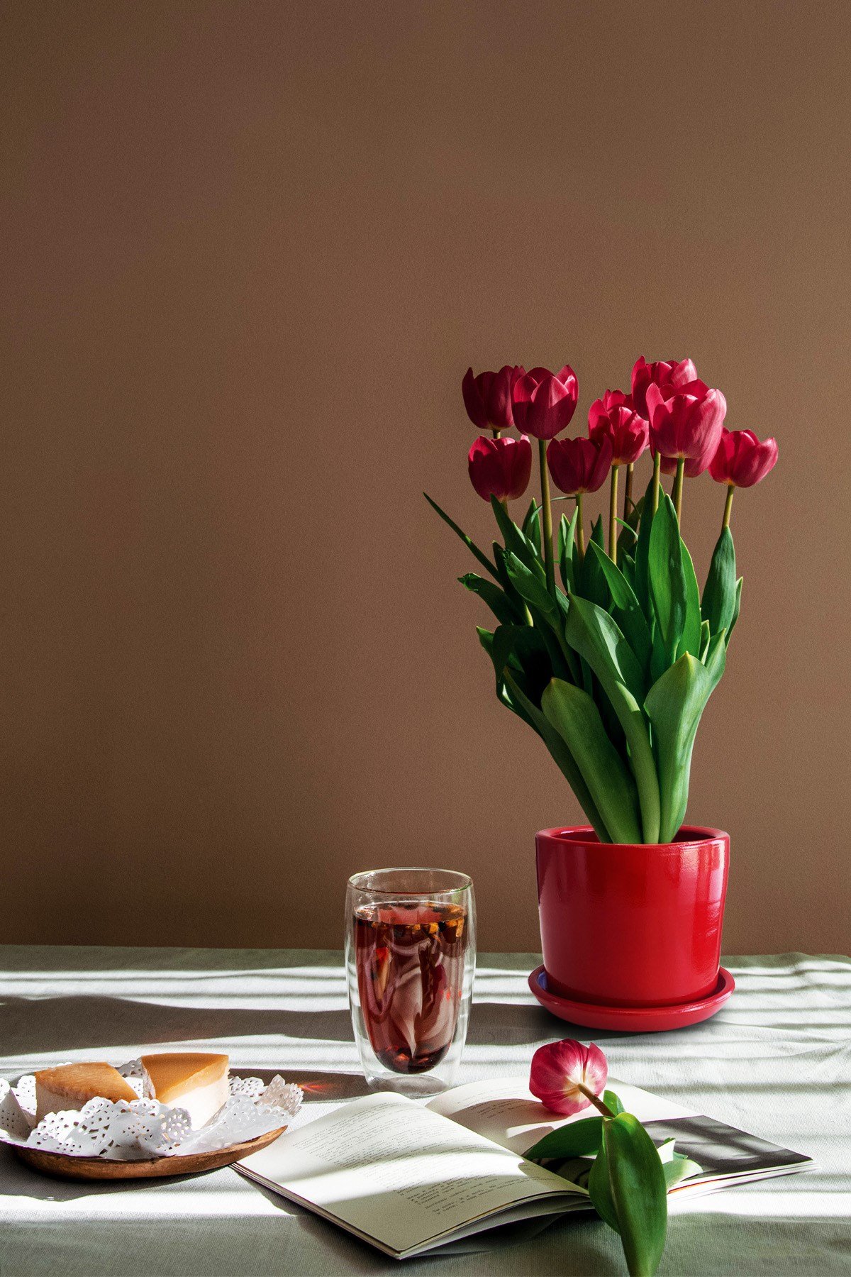 Evdek Tabaklı Kırmızı Silindirik Çömlek Saksı 16x16 Cm