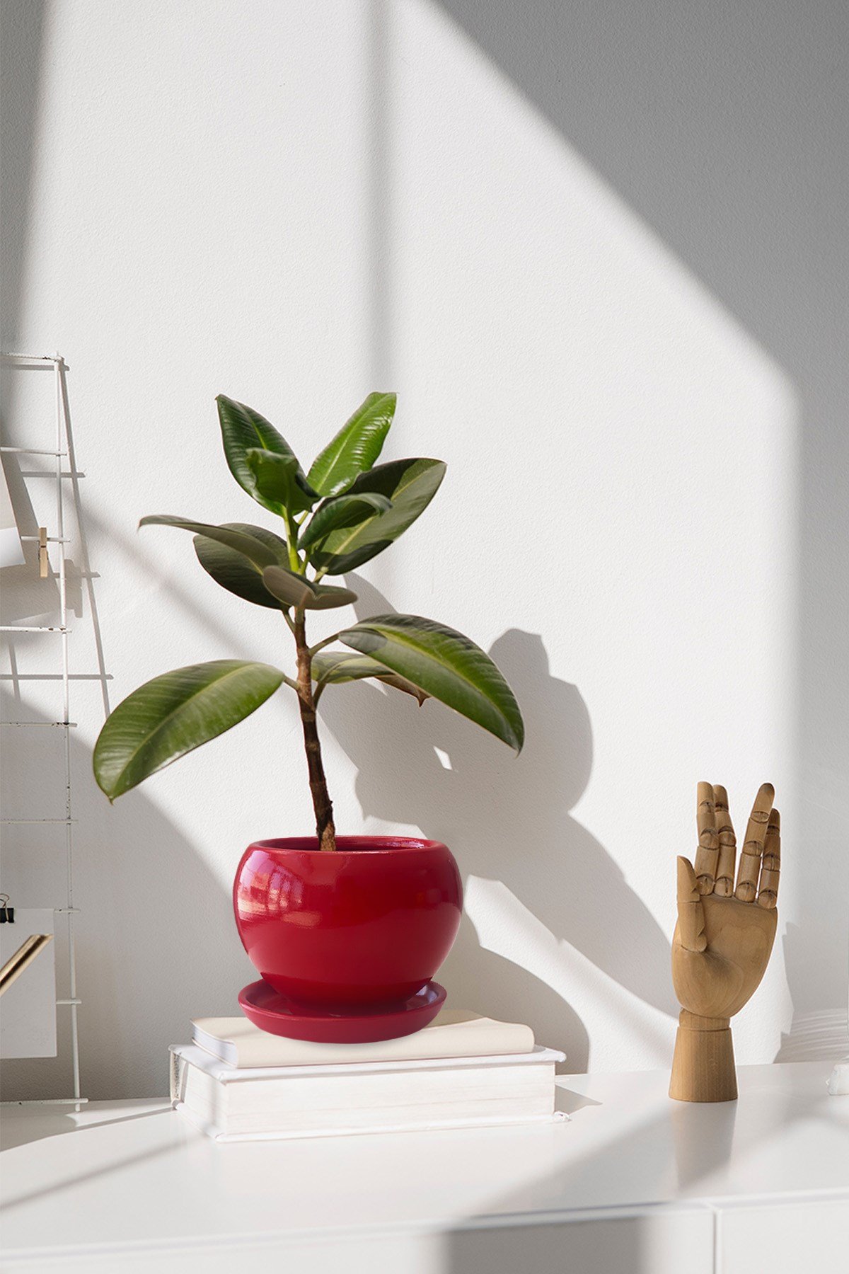 Evdek Tabaklı Kırmızı Tombul Çömlek Saksı 18x17 Cm