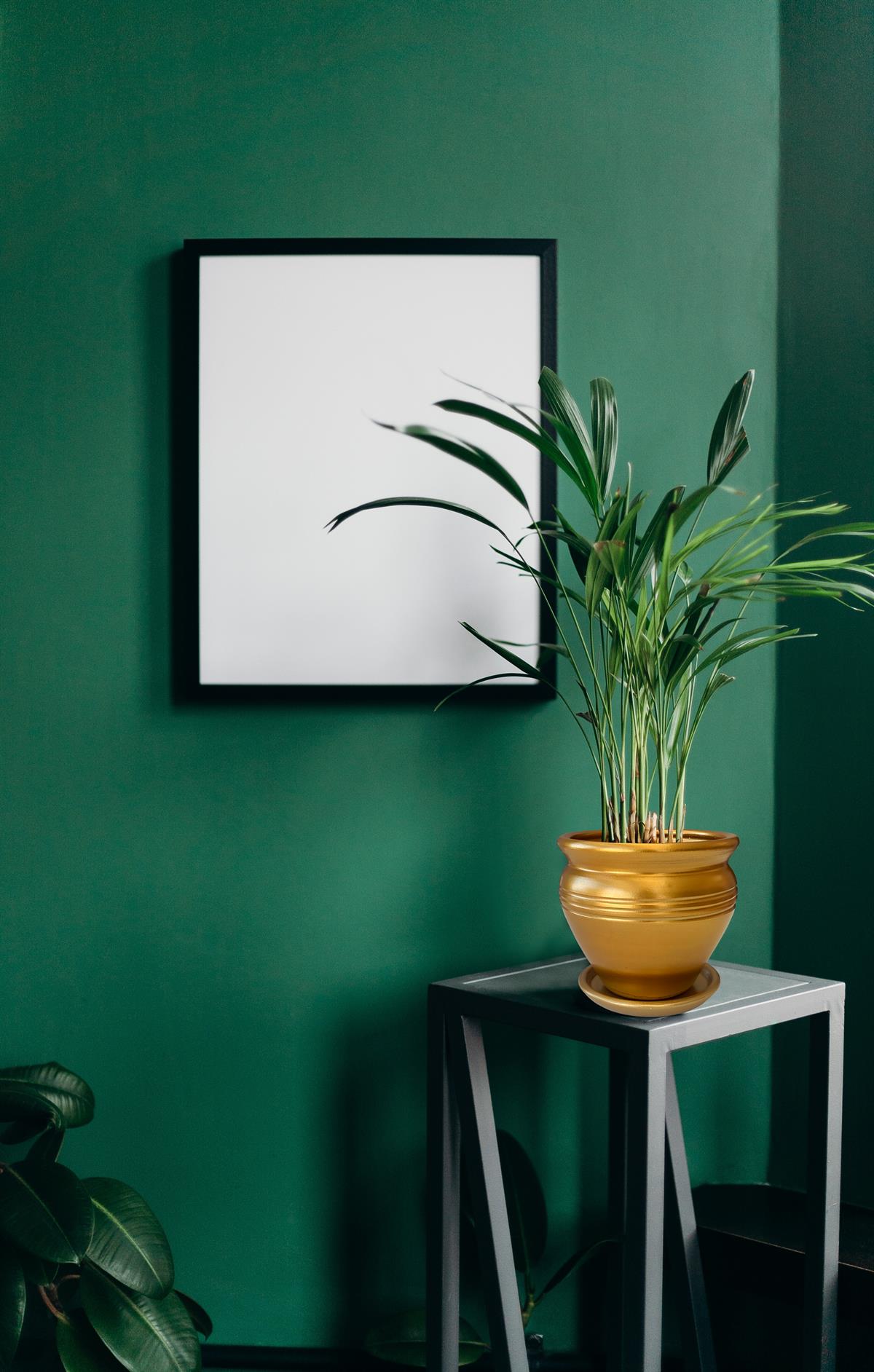 Evdek Tabaklı Klasik Altın Çömlek Saksı 17x17 Cm