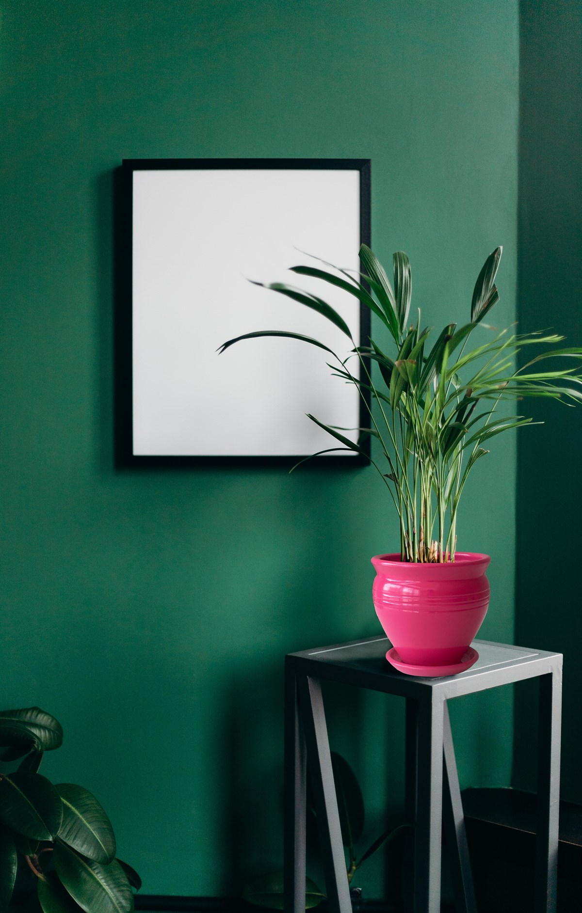 Evdek Tabaklı Klasik Koyu Pembe Çömlek Saksı 19x19 Cm