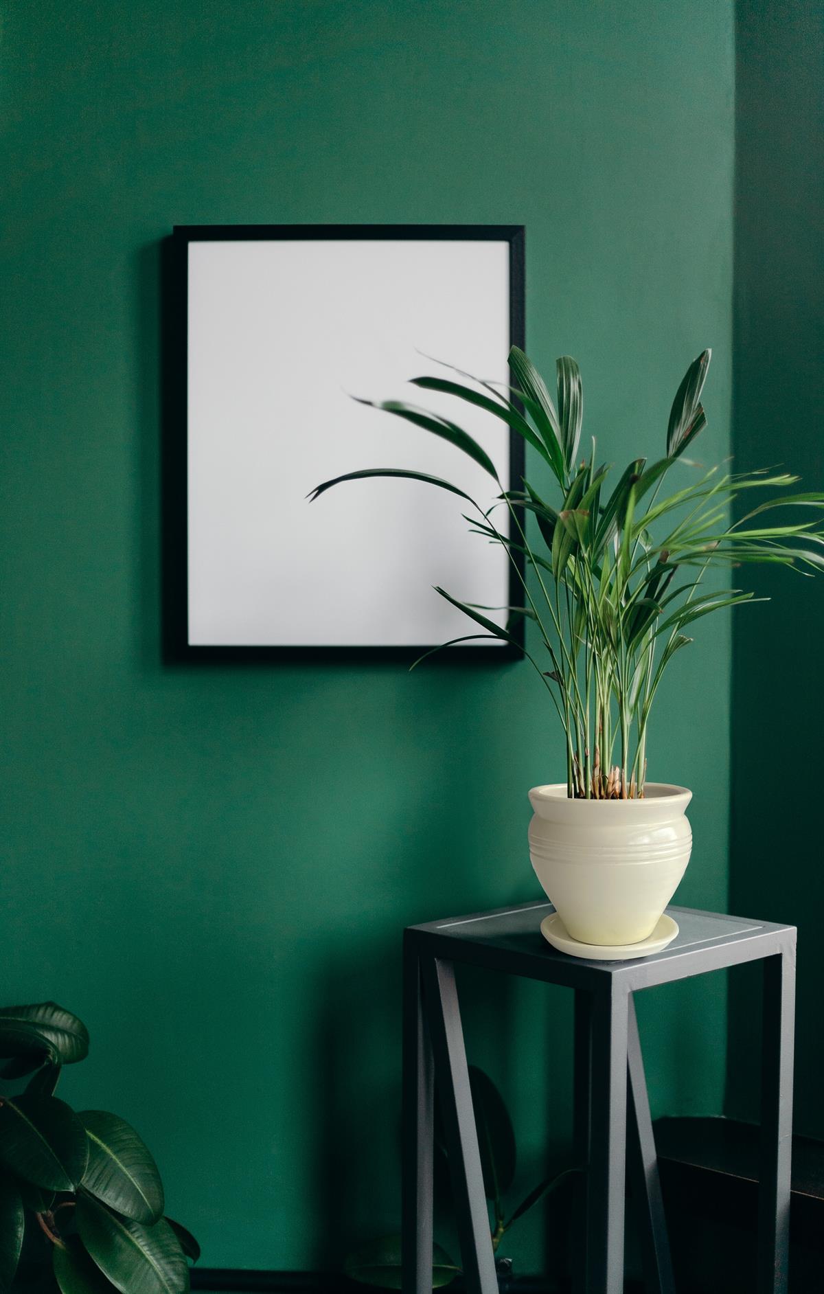 Evdek Tabaklı Klasik Krem Çömlek Saksı 17x17 Cm