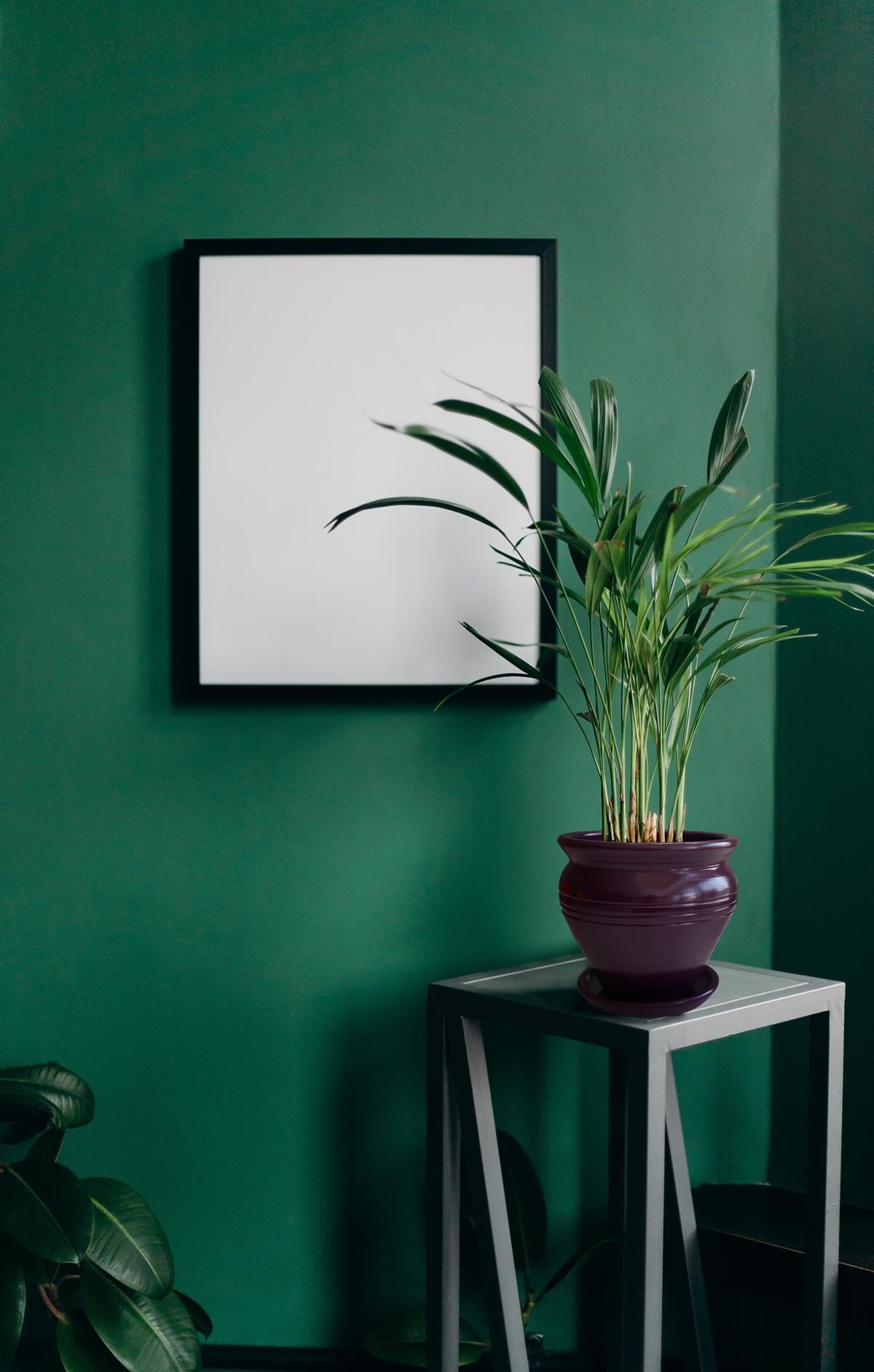 Evdek Tabaklı Klasik Mor Çömlek Saksı 17x17 Cm