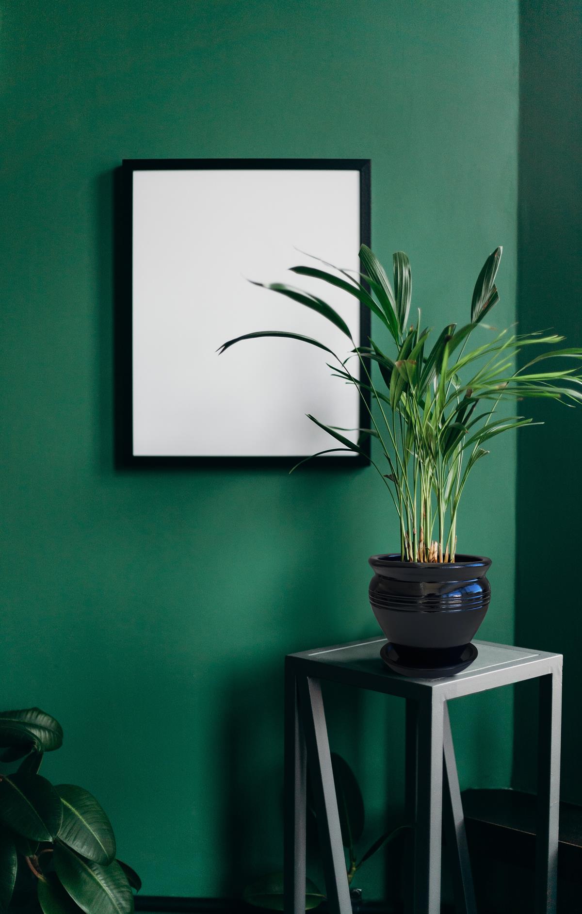 Evdek Tabaklı Klasik Siyah Çömlek Saksı 17x17 Cm