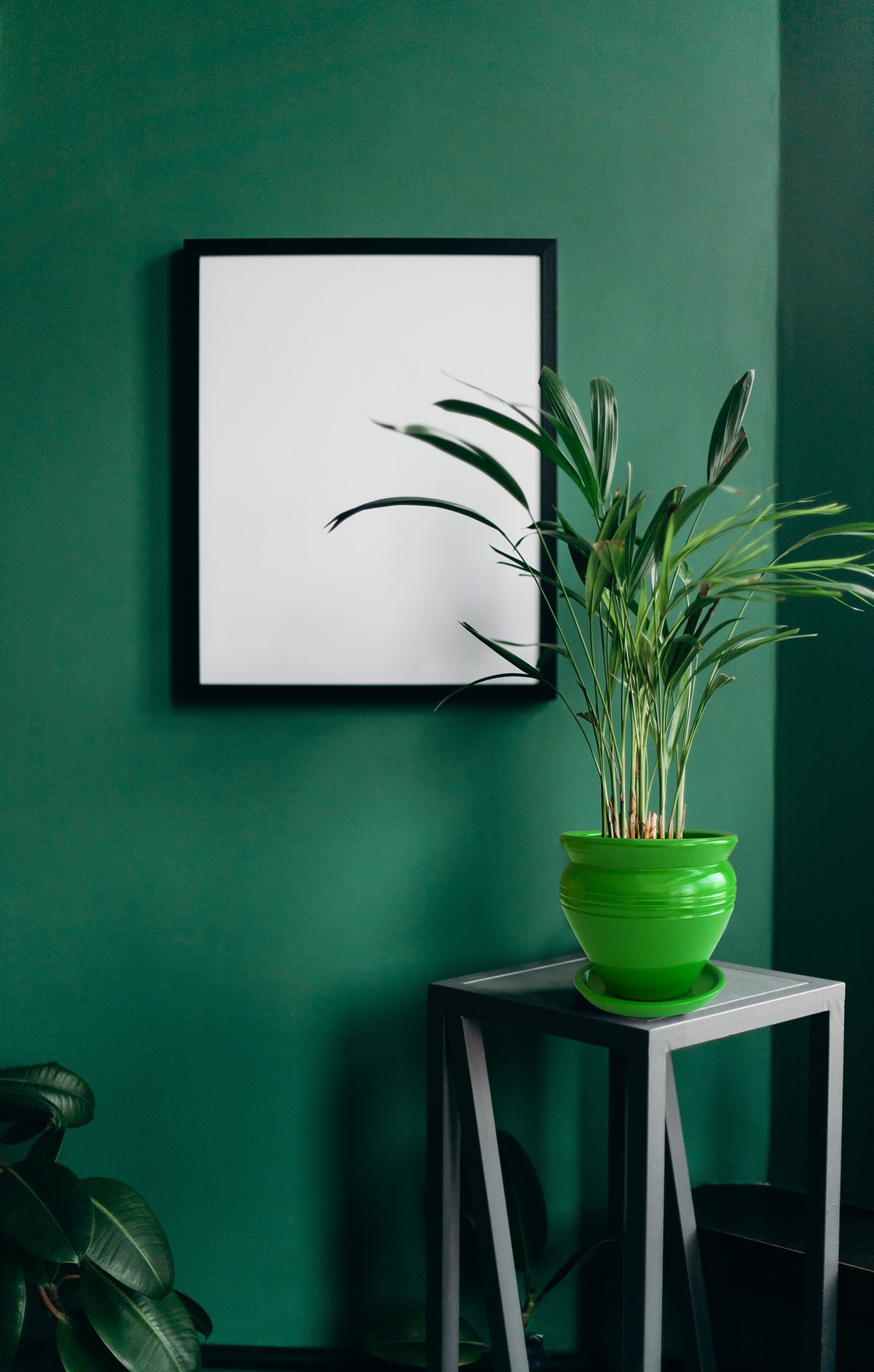 Evdek Tabaklı Klasik Yeşil Çömlek Saksı 19x19 Cm