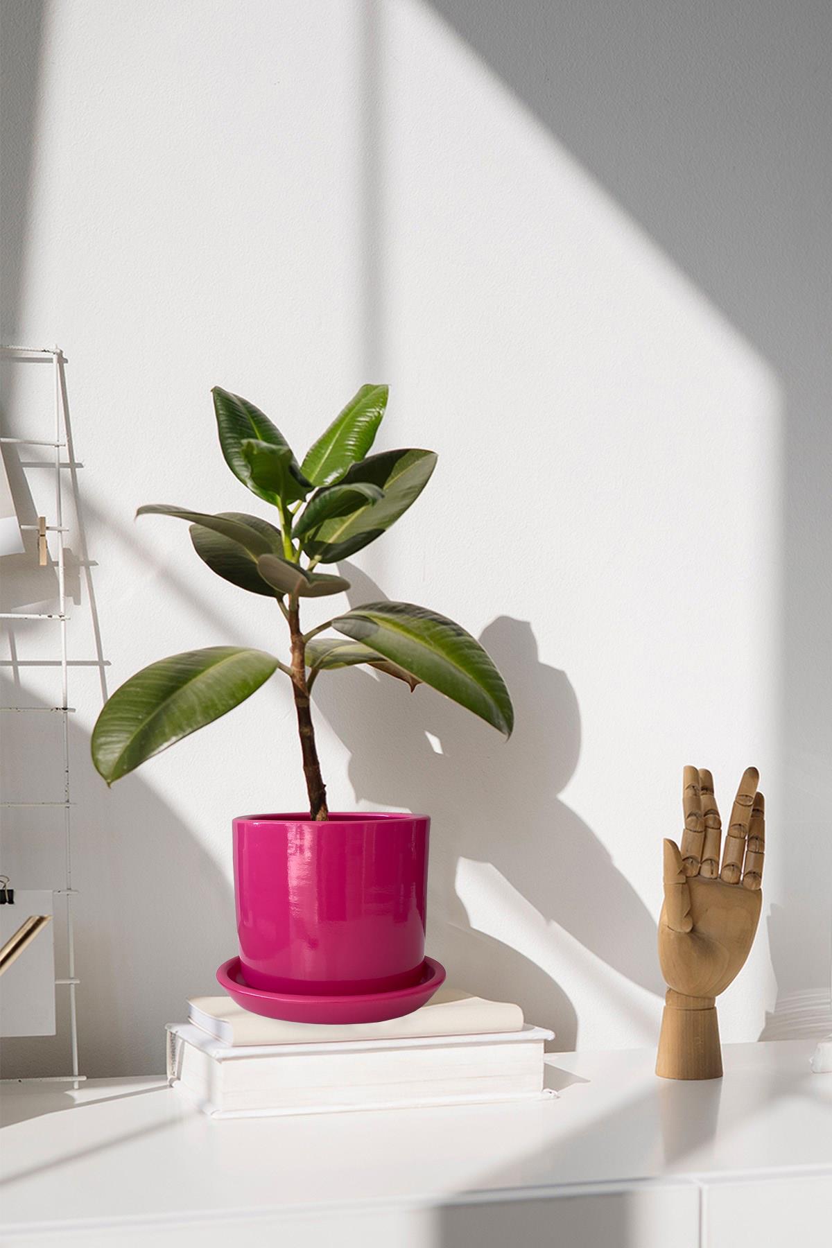 Evdek Tabaklı Koyu Pembe Silindirik Çömlek Saksı 15x15 Cm