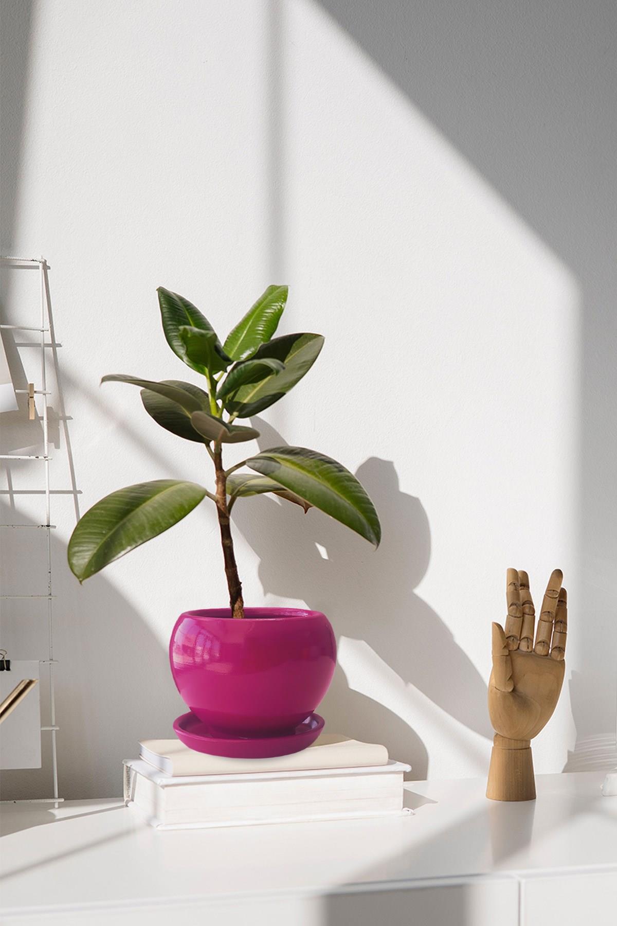 Evdek Tabaklı Koyu Pembe Tombul Çömlek Saksı 22x21 Cm