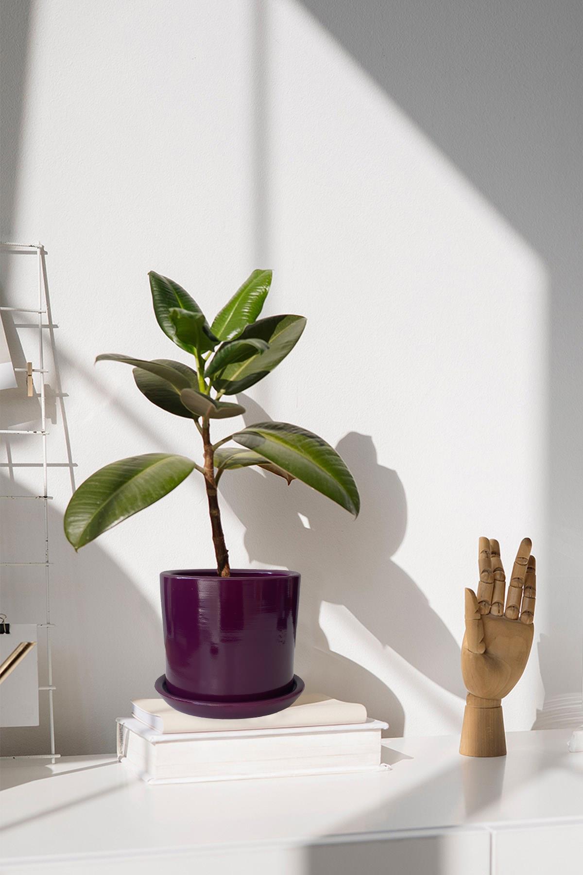 Evdek Tabaklı Mor Silindirik Çömlek Saksı 15x15 Cm