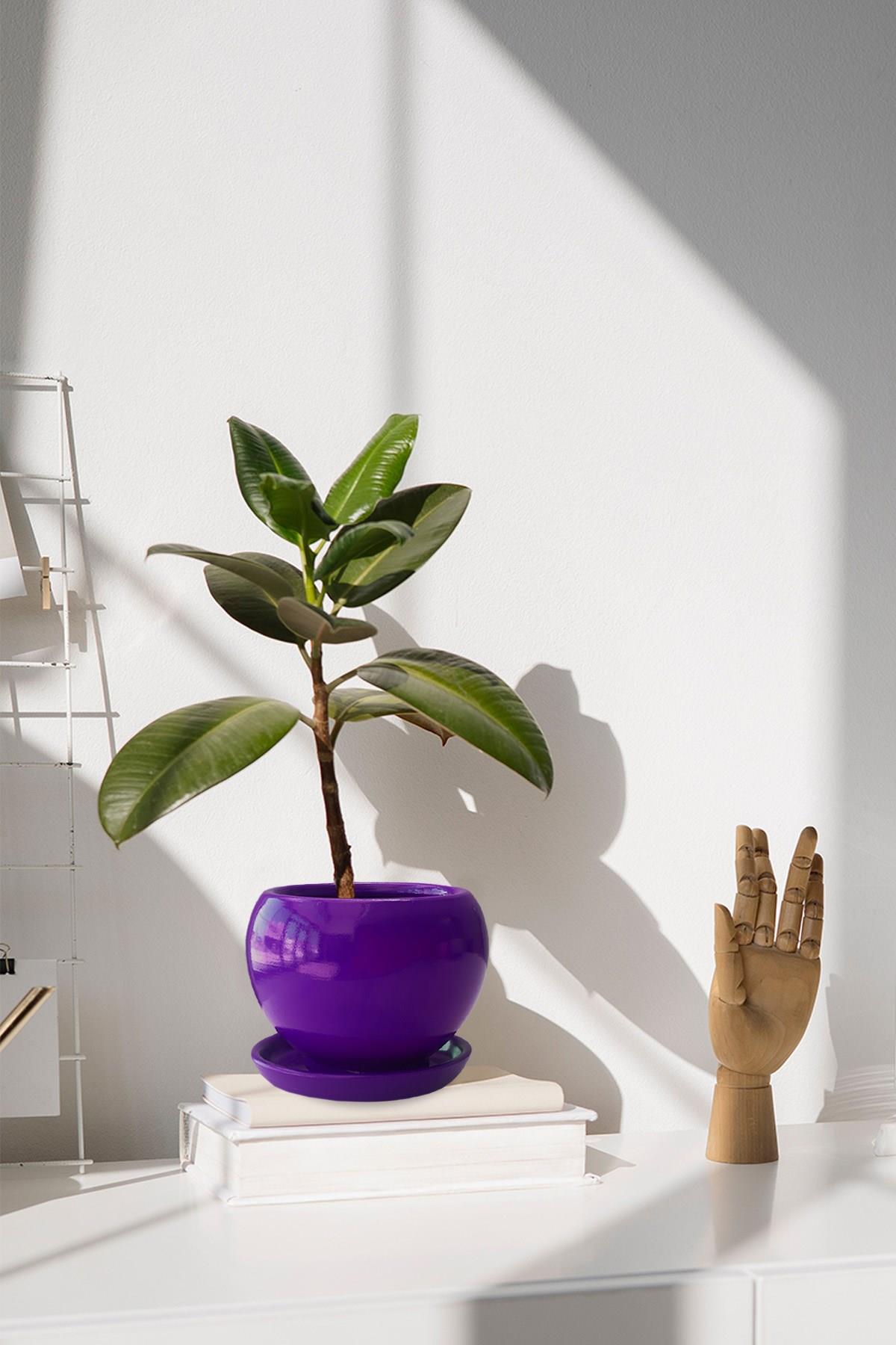 Evdek Tabaklı Mor Tombul Çömlek Saksı 22x21 Cm