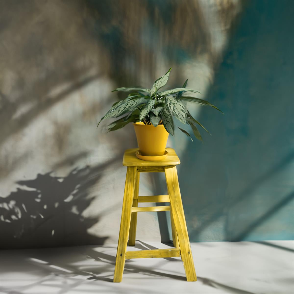 Evdek Tabaklı Sarı Konik Çömlek Saksı 23x23 Cm