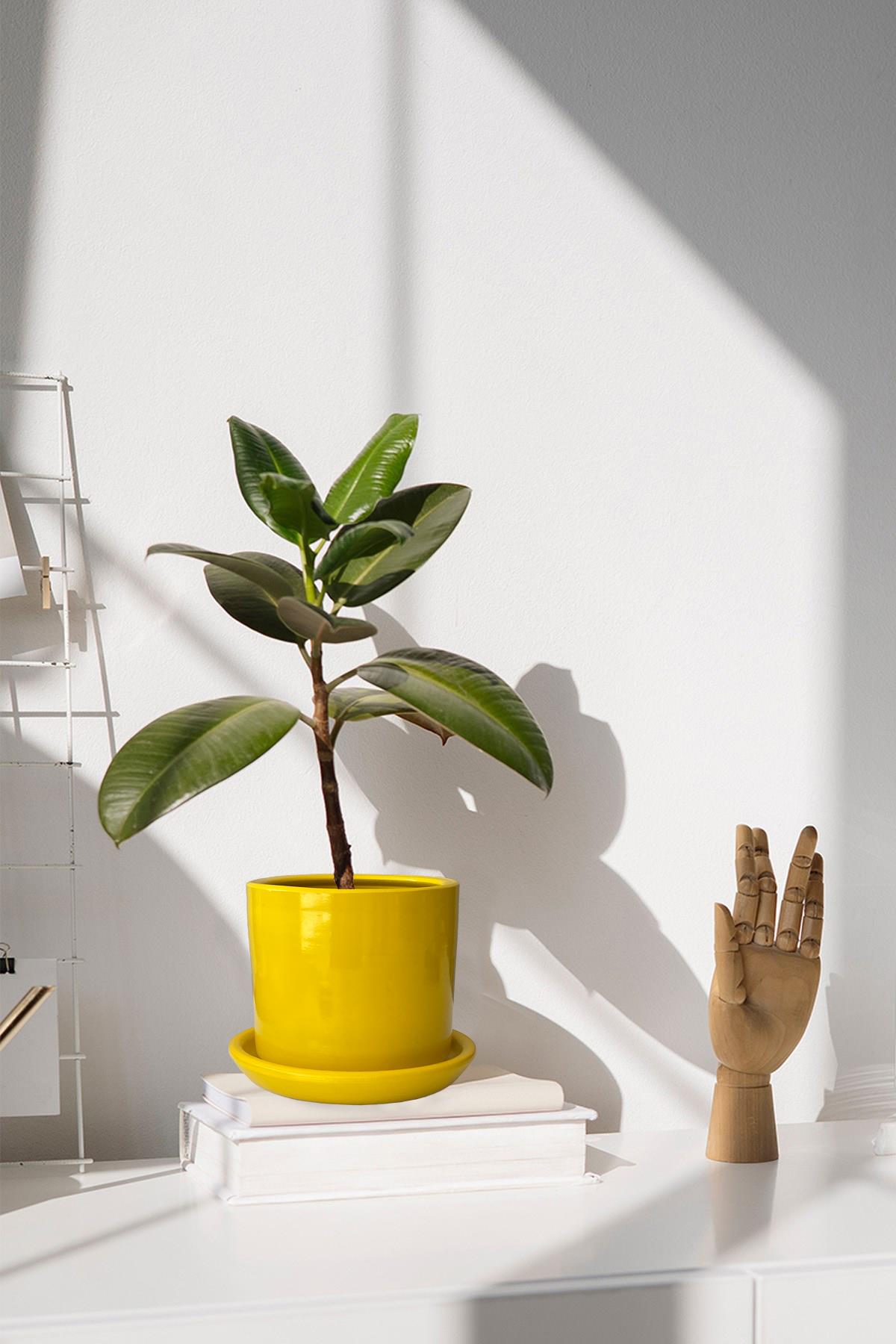 Evdek Tabaklı Sarı Silindirik Çömlek Saksı 15x15 Cm