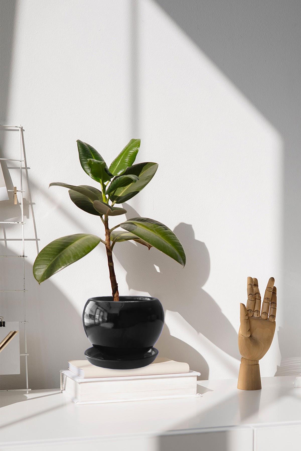 Evdek Tabaklı Siyah Tombul Çömlek Saksı 18x17 Cm