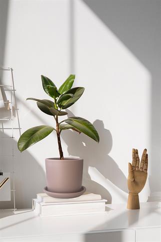 Evdek Tabaklı Vizon Silindir Çömlek Saksı 22x22 Cm