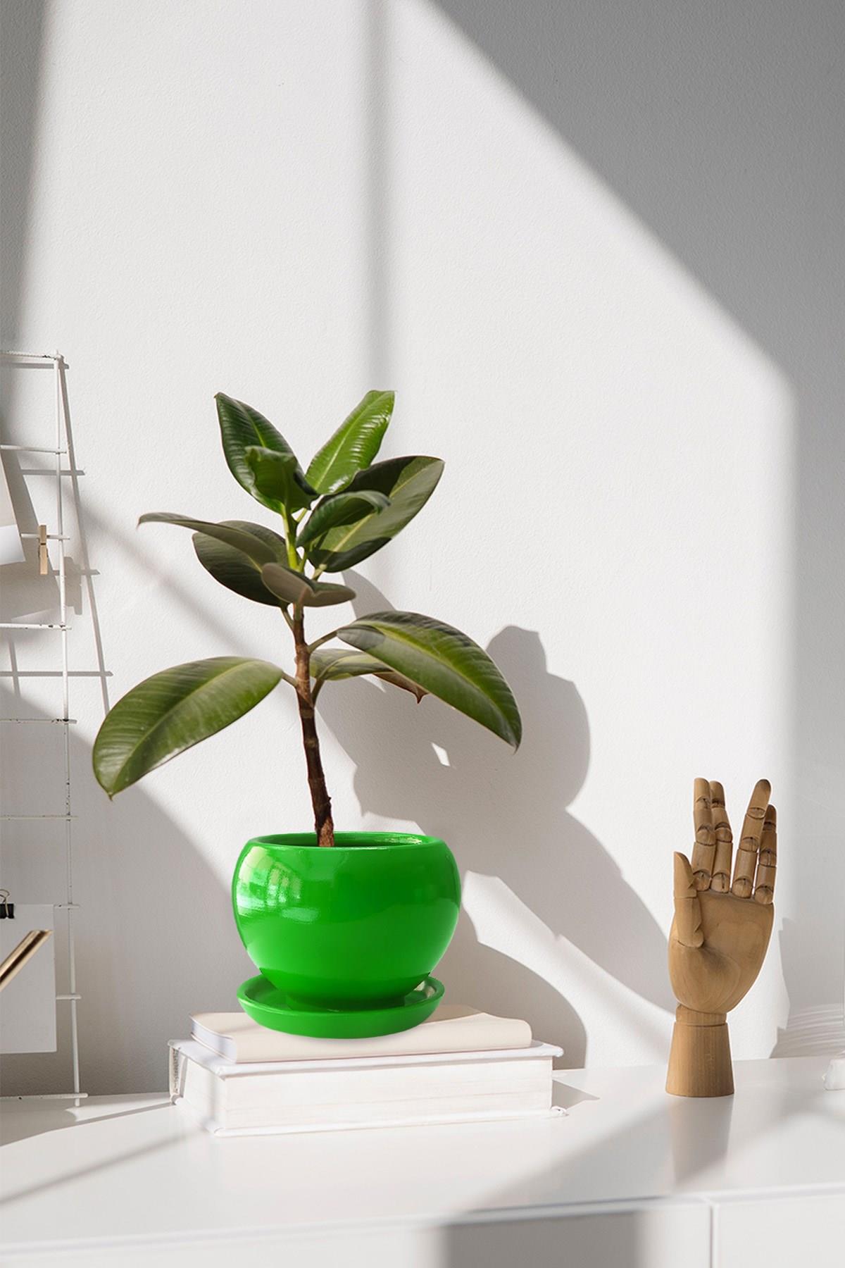 Evdek Tabaklı Yeşil Tombul Çömlek Saksı 22x21 Cm