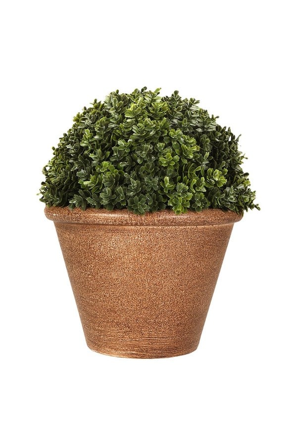 Porland Selaginella Yapay Bitki 21 cm - 04STY011383
