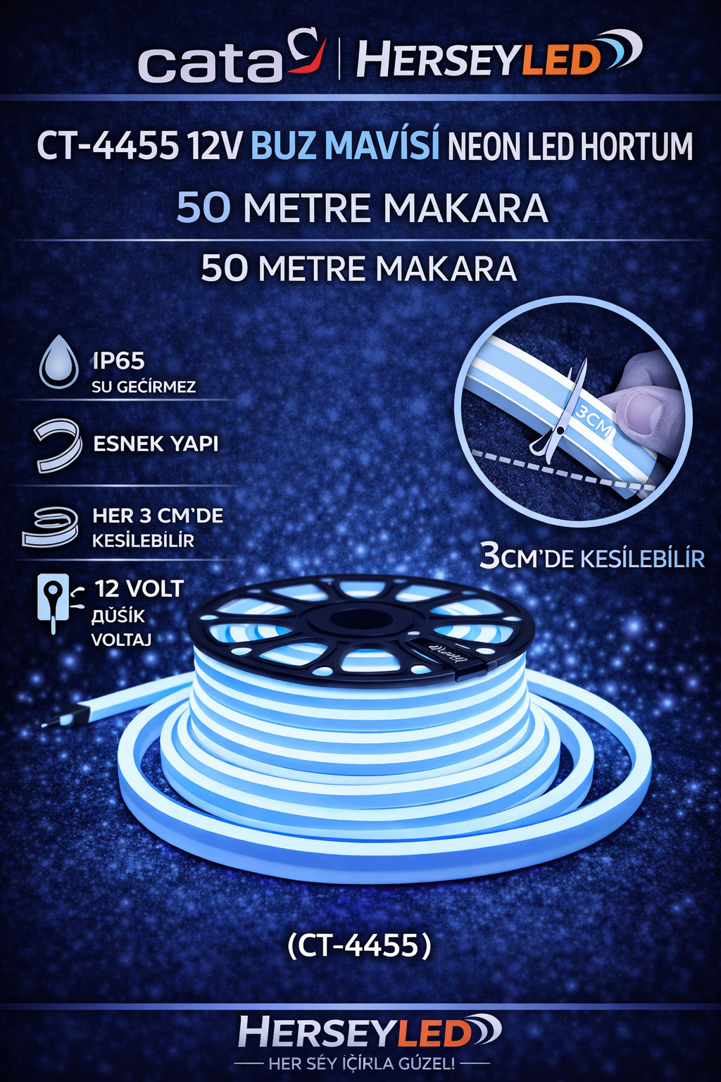 CATA CT-4455 12V BUZ MAVİSİ NEON LED HORTUM 50 METRE MAKARA CT-4555