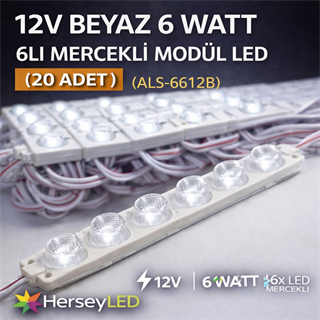 12V BEYAZ 6 WATT 6LI MERCEKLİ MODÜL LED ( 20 ADET )