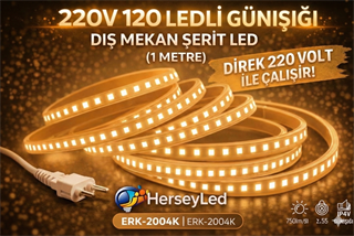 220V 120 LEDLİ GÜNIŞIĞI DIŞ MEKAN ŞERİT LED (1 METRE ) ERKLED