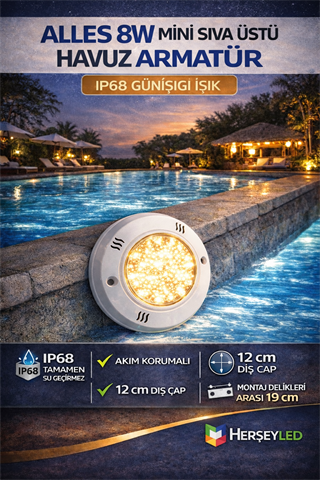 ALLES 8W MİNİ SIVA ÜSTÜ HAVUZ ARMATÜR IP68 GÜNIŞIĞI IŞIK - AKIM KORUMALI - 12CM DIŞ ÇAP - ( MONTAJ DELİKLERİ ARASI 19CM )