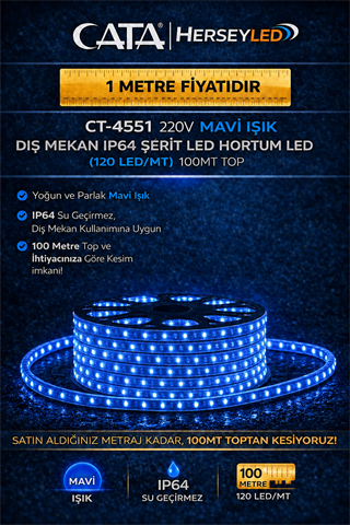 CATA CT-4551 220V HORTUM LED MAVİ IŞIK 120LED/MT