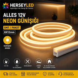 ALLES 12V NEON GÜNIŞIĞI  5MT / PAKET 6X12mm
