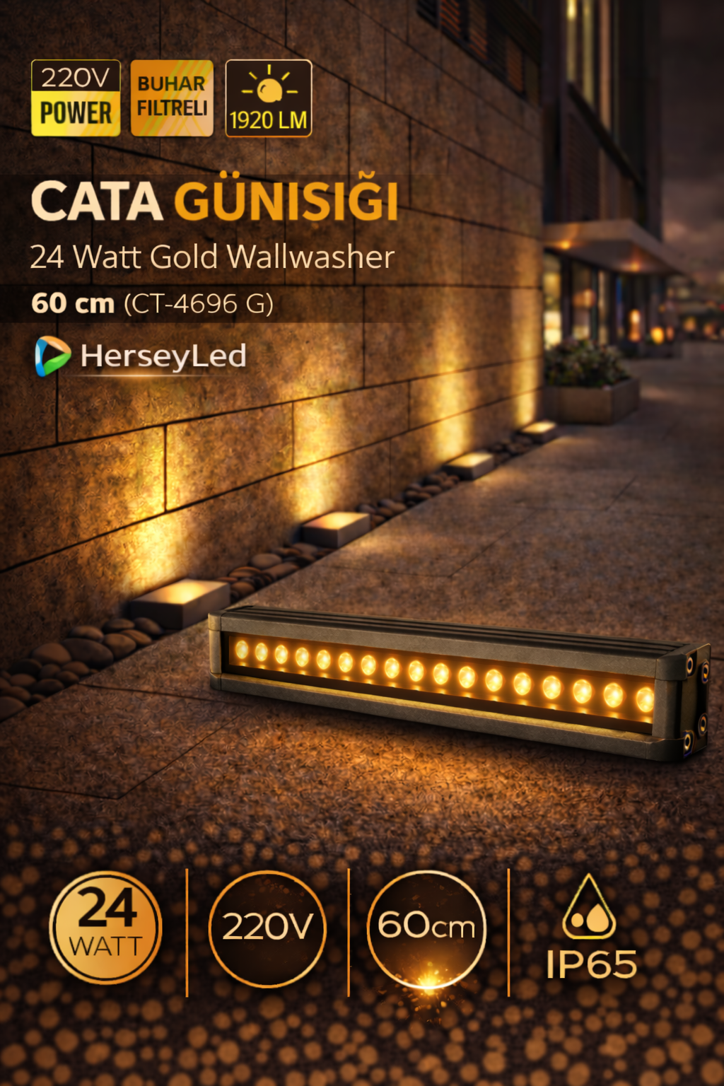 Cata 24 Watt Gold Wallwasher 60 cm Günışığı Renk CT-4696