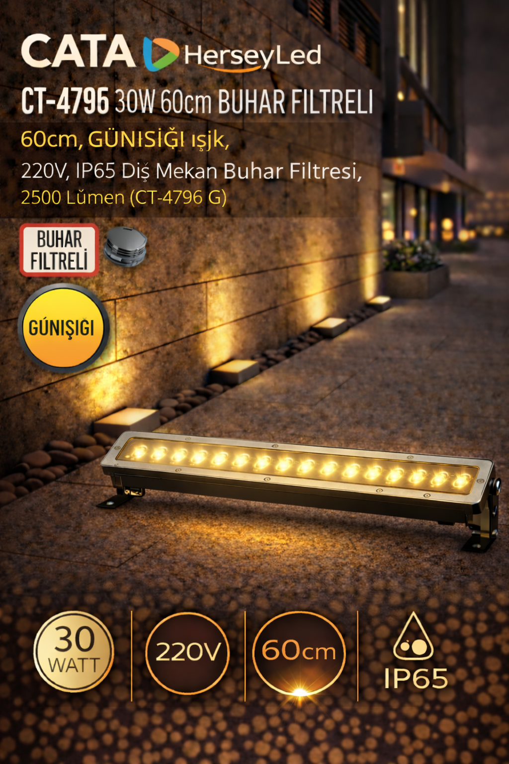 Cata CT-4796 30W 60cm Buhar Filtreli Wallwasher GÜNIŞIĞI
