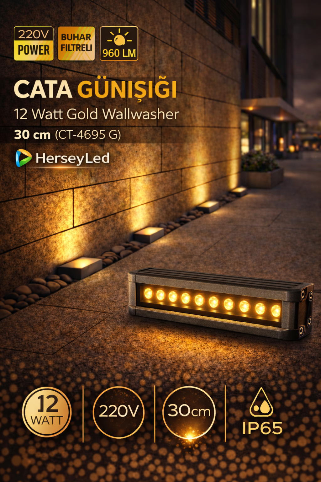 CT-4695 G 12W GOLD WALLWASHER 30CM GÜNIŞIĞI CATA