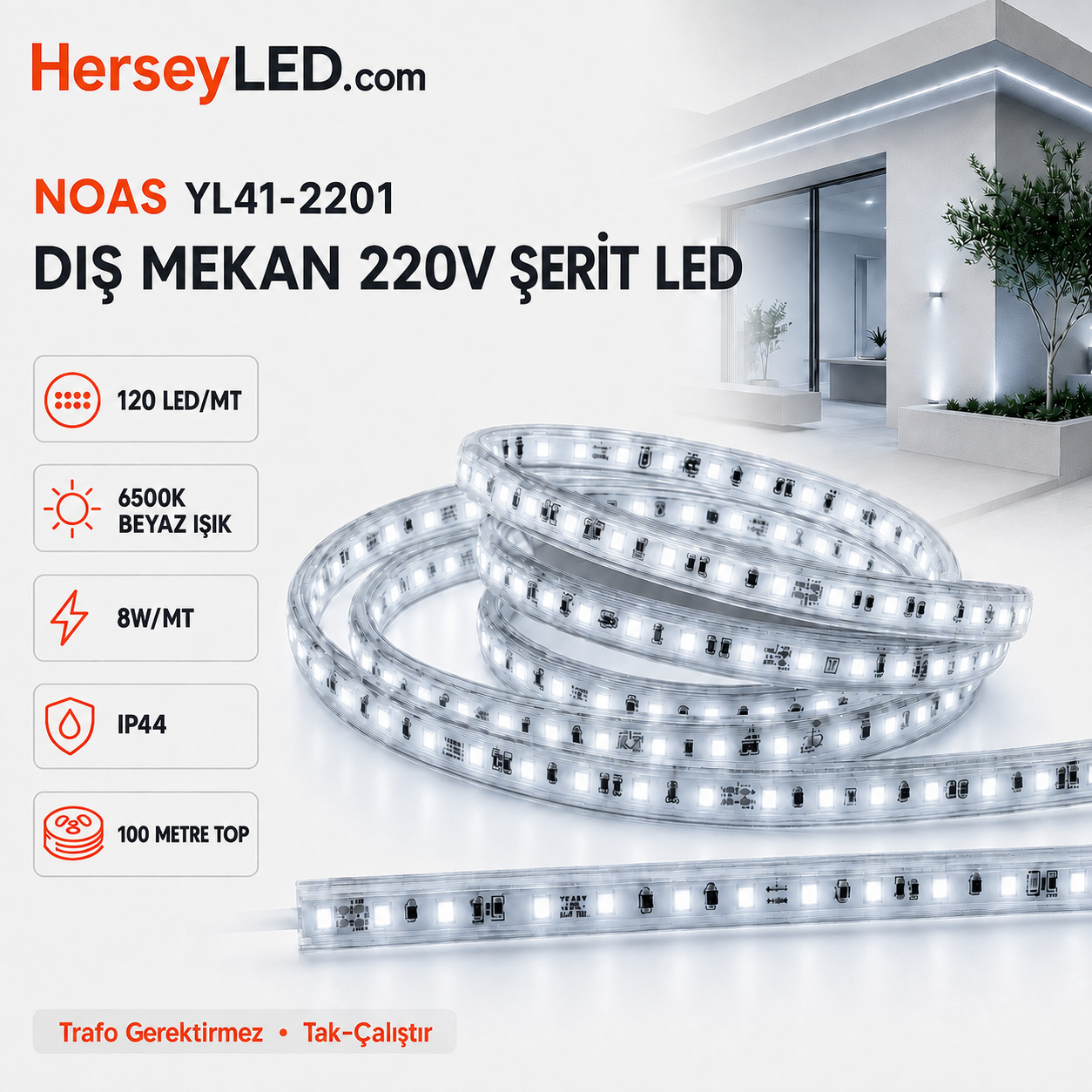 NOAS  220V 120 LEDLİ TRAFOSUZ ŞERİT LED 6500K BEYAZ YL41-2201
