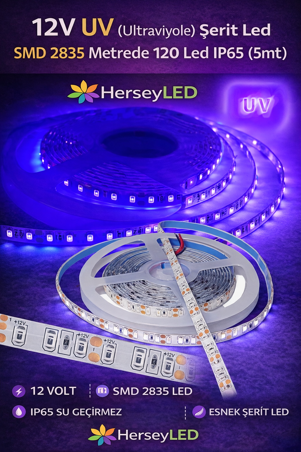 Powerlux 12V UV (Ultraviyole) Şerit Led SMD 2835 Metrede 120 Led IP65 (5mt)