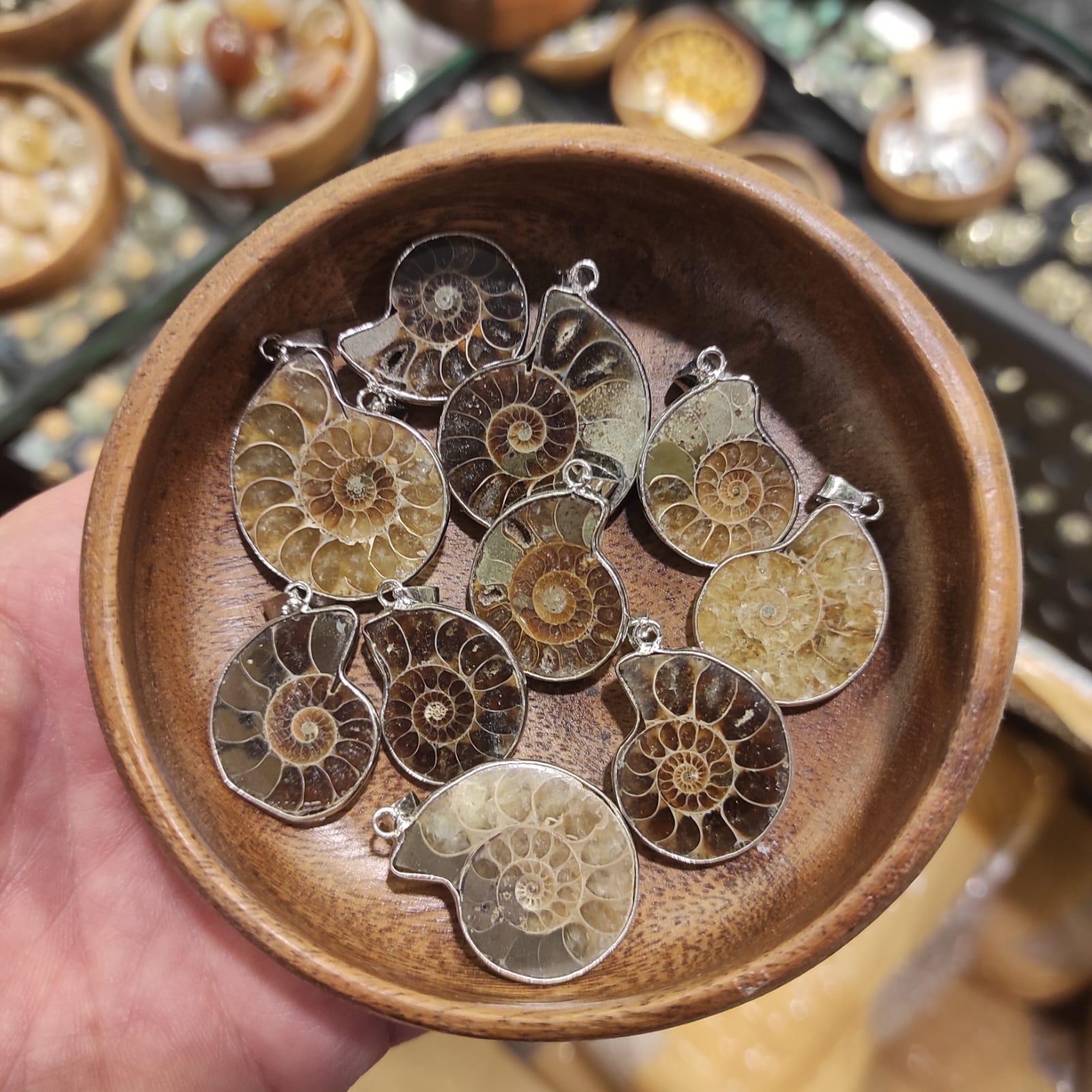 Ammonite Fosil Kolye Ucu