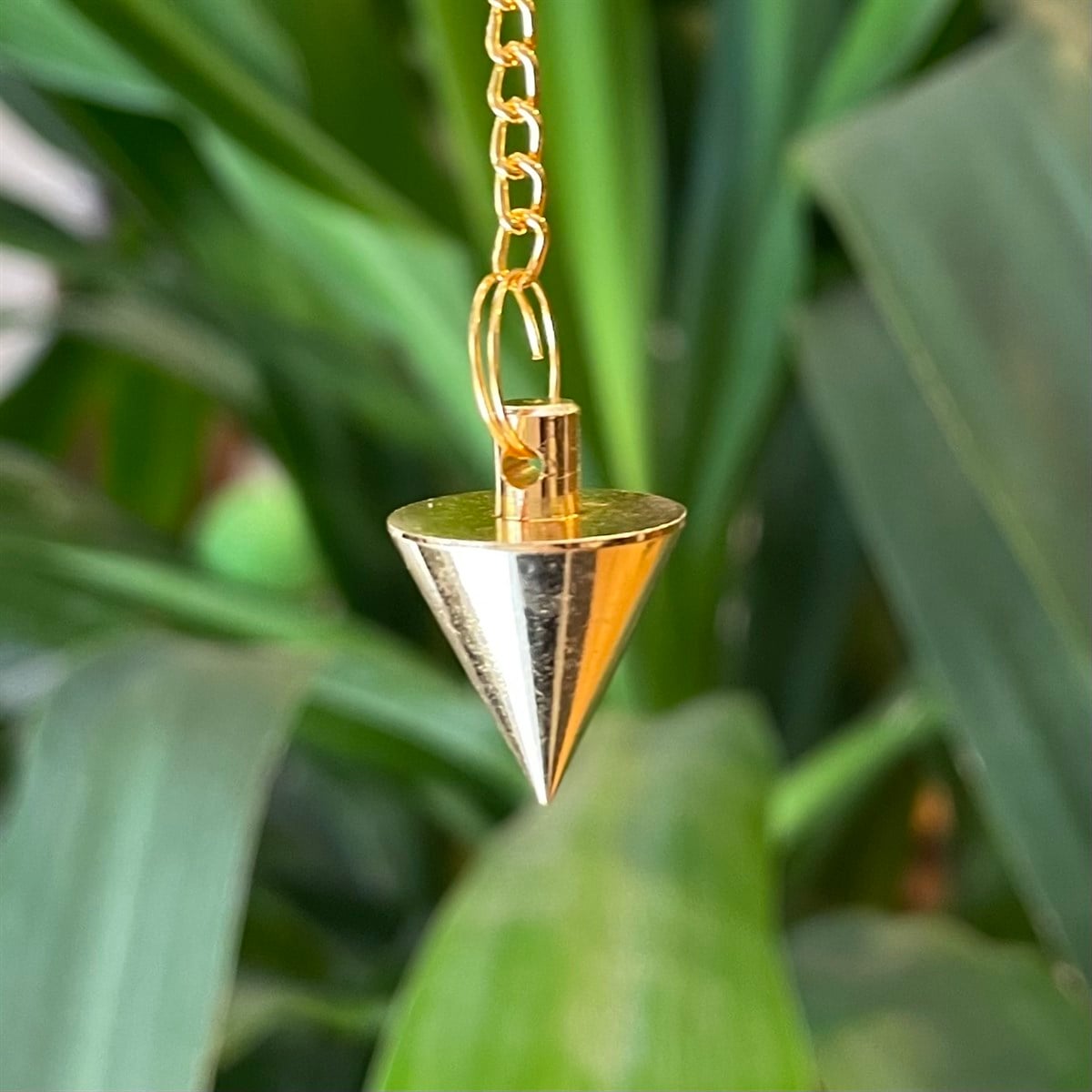 Pirinç Sarkaç (Pandül)