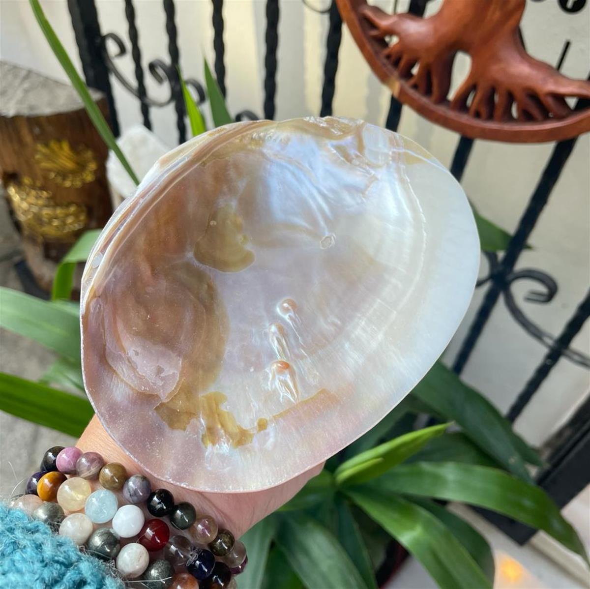 Sedef Tabak Tütsülük