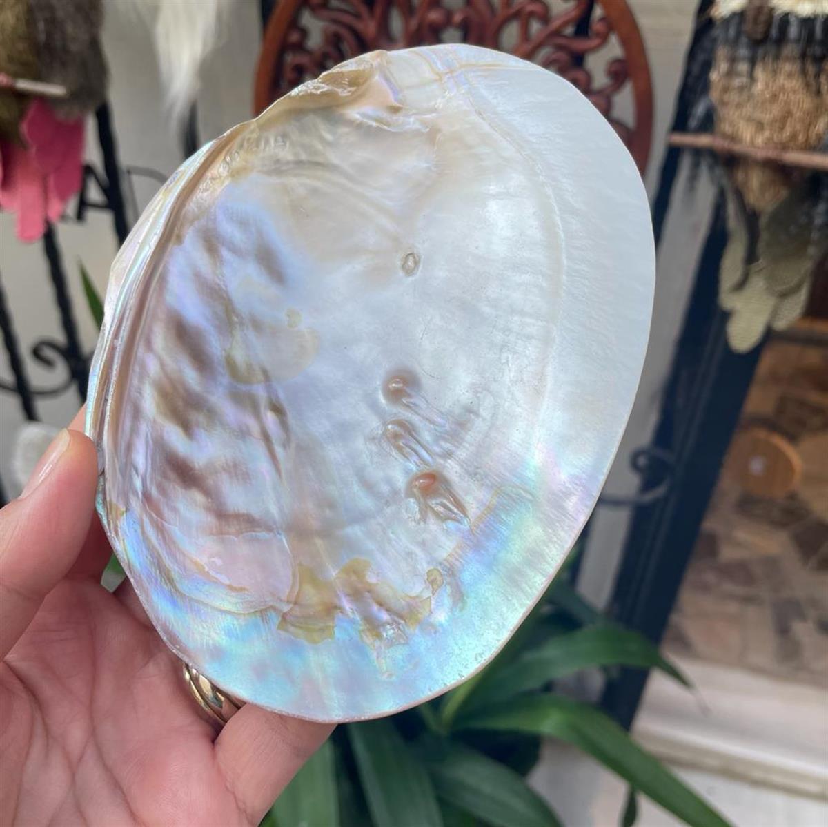 Sedef Tabak Tütsülük