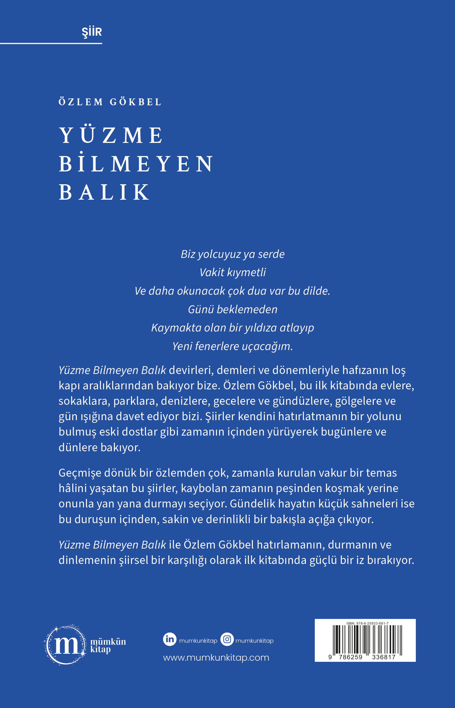 Yüzme Bilmeyen Balık