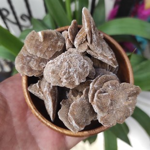 Çöl Gülü (Selenit)