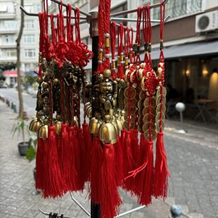 Feng Shui Maneki Neko Çan