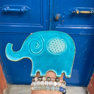 Fil&Yaşam Çiçeği