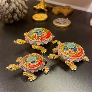 Kaplumbağa (Renkli)