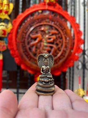 Naga Koruyuculu Meditasyon Buda Heykeli