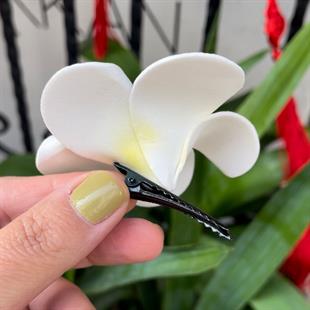 Plumeria Çiçeği Toka