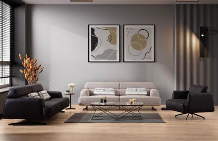 Barrie Koltuk Takımı